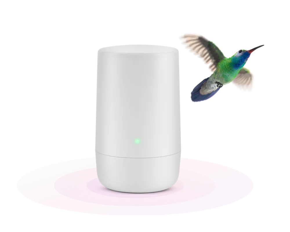 A hummingbird taking off next to a TELUS modem.