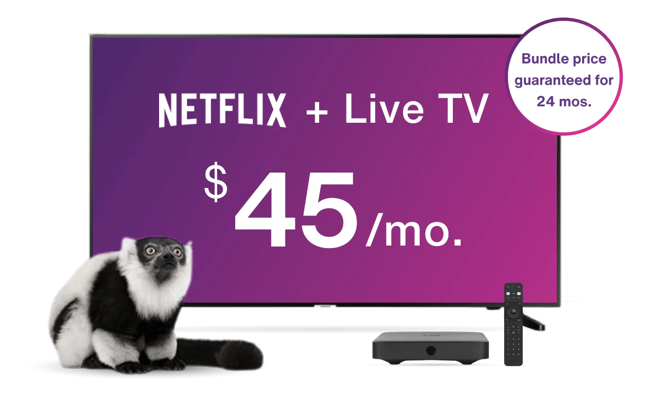 A TV displays the Optik TV offer of live TV and Netflix together with a TELUS TV Digital Box while a lemur looks on.