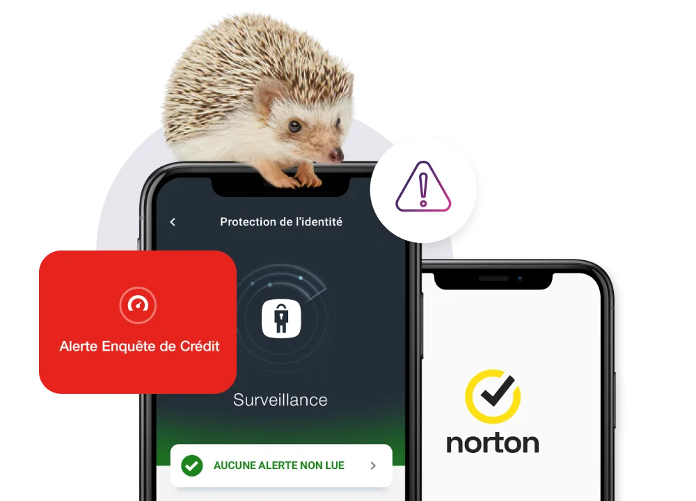 Un téléphone intelligent affiche un écran de protection de l’identité sans alertes non lues, tandis qu’un autre affiche une fenêtre d’alerte concernant une demande de crédit. 