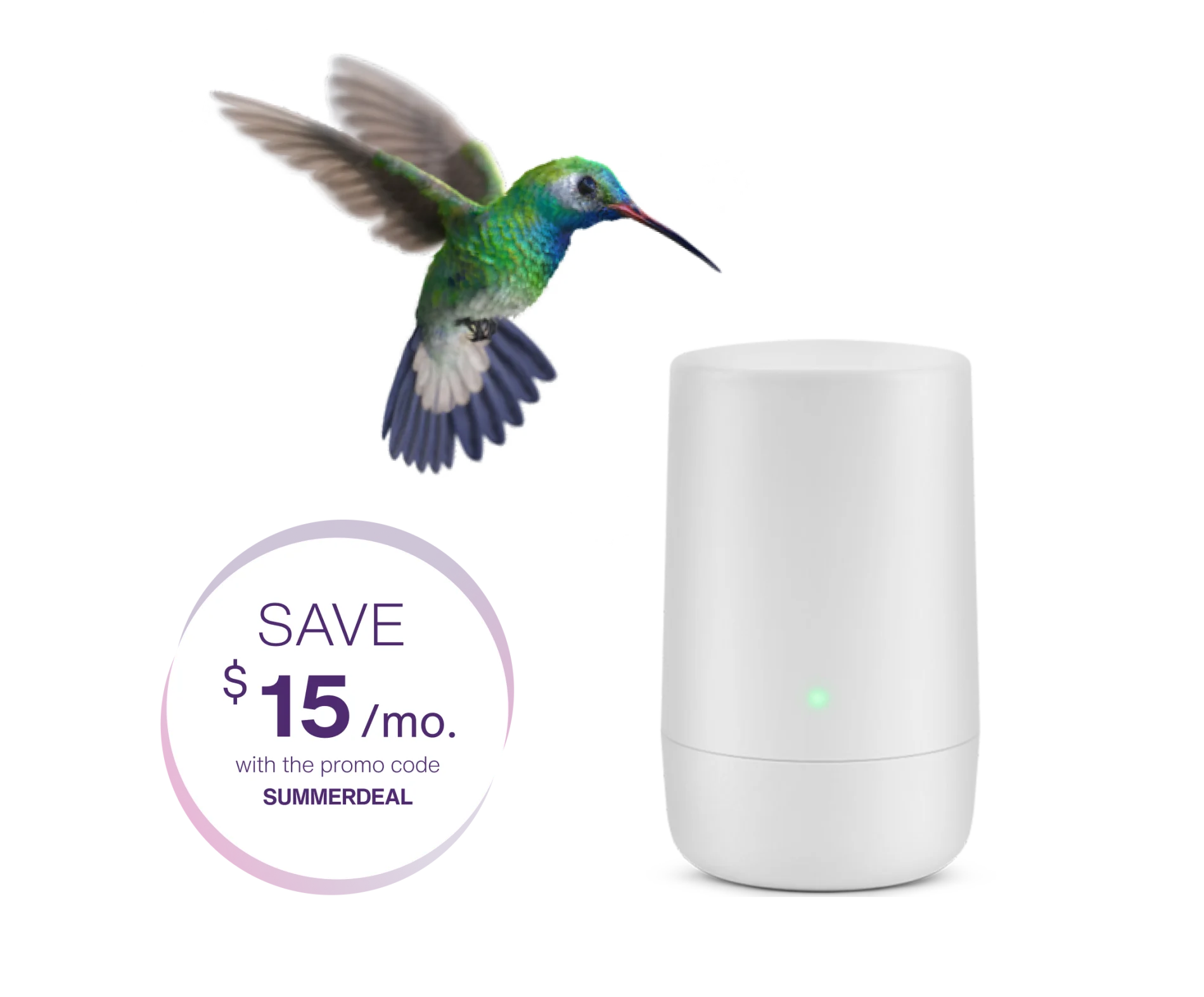 An image showing a hummingbird beside a TELUS Internet Modem with a roundel "Save $15/mo. with promo code SUMMERDEAL".