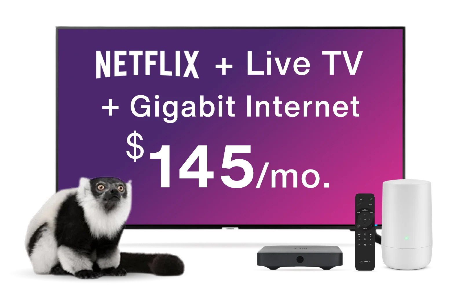 An image showing a TV with a lemur, TV box, Internet device and control on the foreground. The TV has a text that reads "Netflix plus Live TV plus Gigabit Internet for $145 per month".