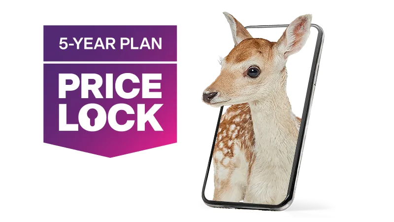 '5-Year Plan Price Lock'. A smartphone displaying an image of a deer looking out into the distance.