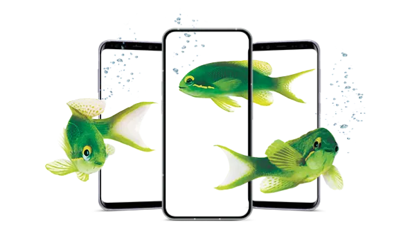 Three green fish swimming around a row of three smartphones.