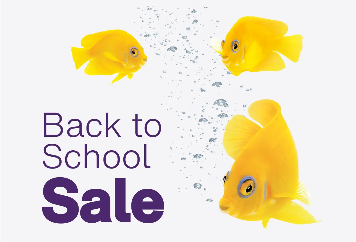 Three vibrant yellow fish swim around the words “Back to School Sale”.