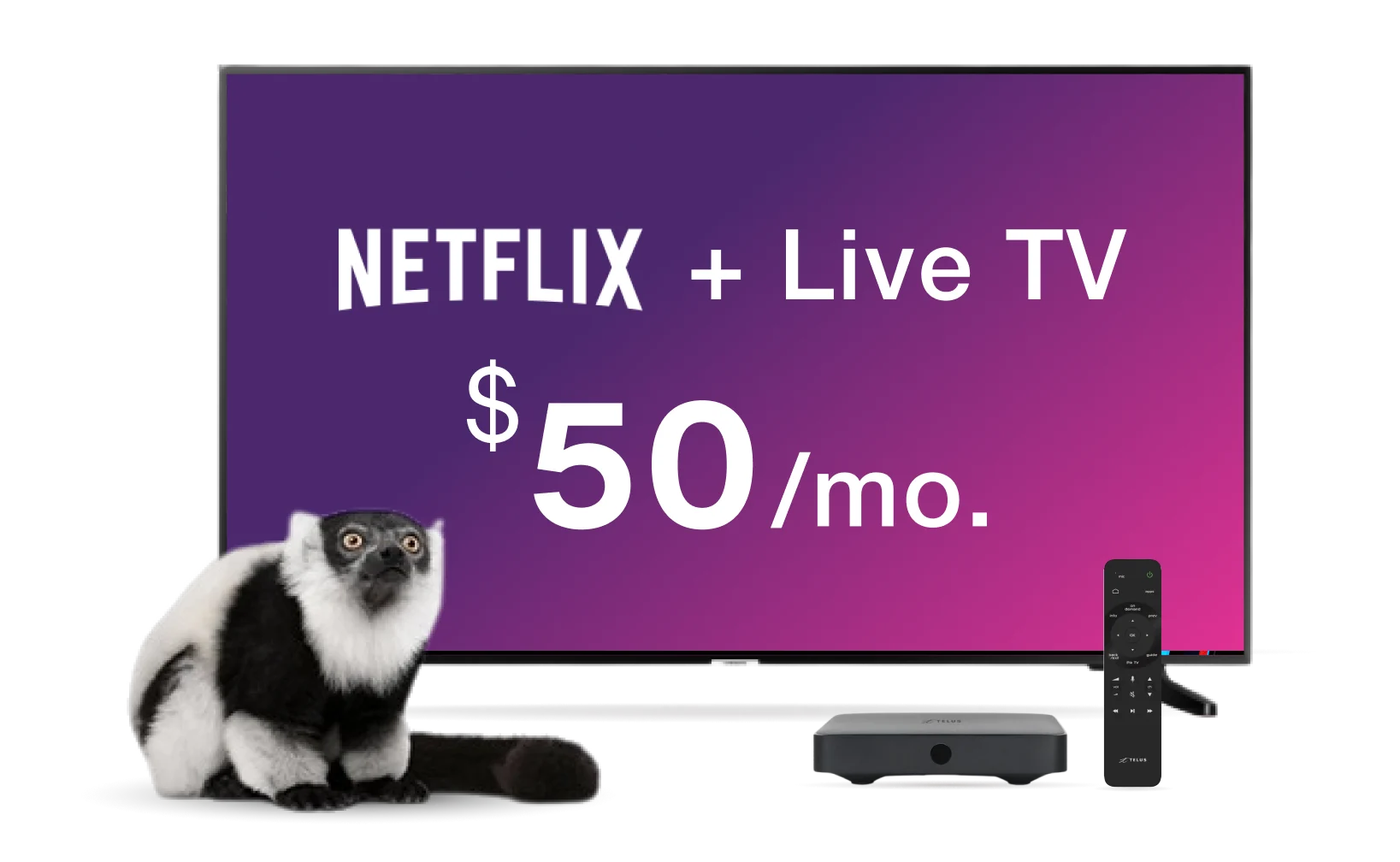 A TV displays the Optik TV offer of live TV and Netflix together with a TELUS TV Digital Box while a lemur looks on.