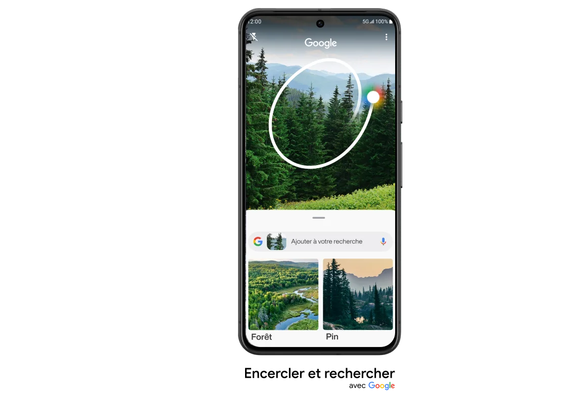 Vue avant du Google Pixel 8. L’écran montre la fonction « Encercler et rechercher » de Google, utilisée sur l’image d’une forêt.