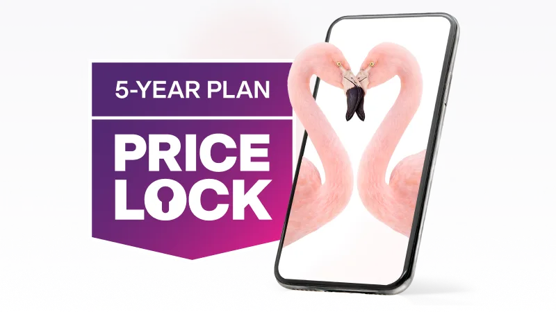 5-Year Plan Price Lock. Two flamingos nuzzling in a smartphone.