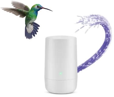 A colorful hummingbird rejoicing at the new TELUS 5-gigabit purefibre internet speed tier, the fastest available in western Canada.