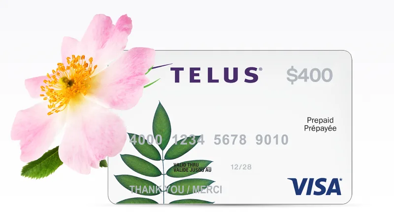 A wild rose and a $400 Visa Prepaid card.