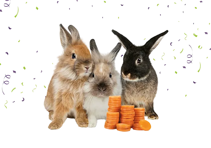 Three bunnies snuggling behind stacks of coin-shaped carrot slices with green and purple confetti in the background. 