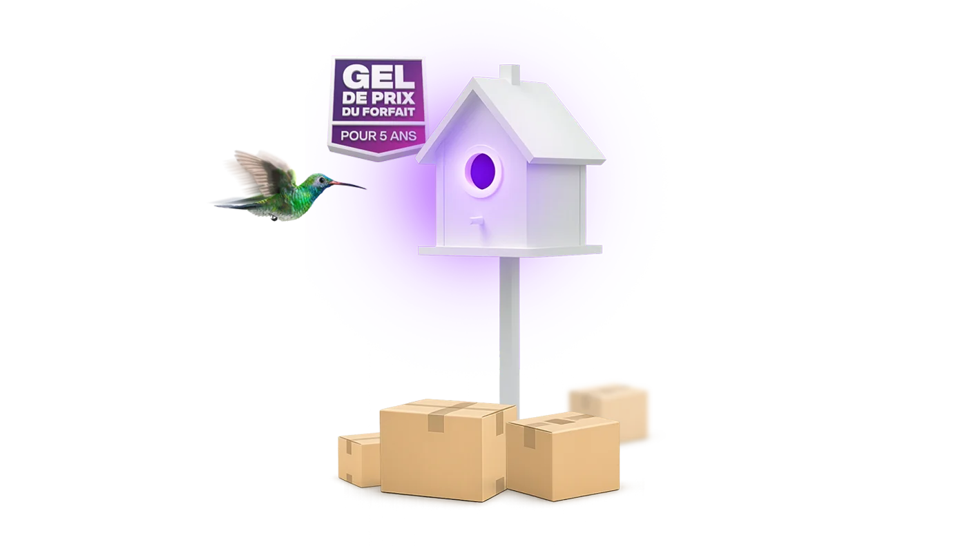 Une image d’un colibri volant vers son nichoir; dessous se trouvent des boîtes scellées. On peut également voir, dans le haut, une bannière en dégradé violet et rose affichant le logo de garantie de prix de 5 ans sur les forfaits Internet de TELUS.