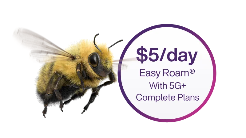 A bumble bee beside a circle with text that reads, '$5/day Easy Roam® with 5G+ Complete Plans'.