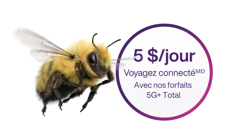 Une abeille inspecte un cercle contenant le texte : « 5 $ par jour, Voyagez connecté avec nos forfaits 5G+ Total ».