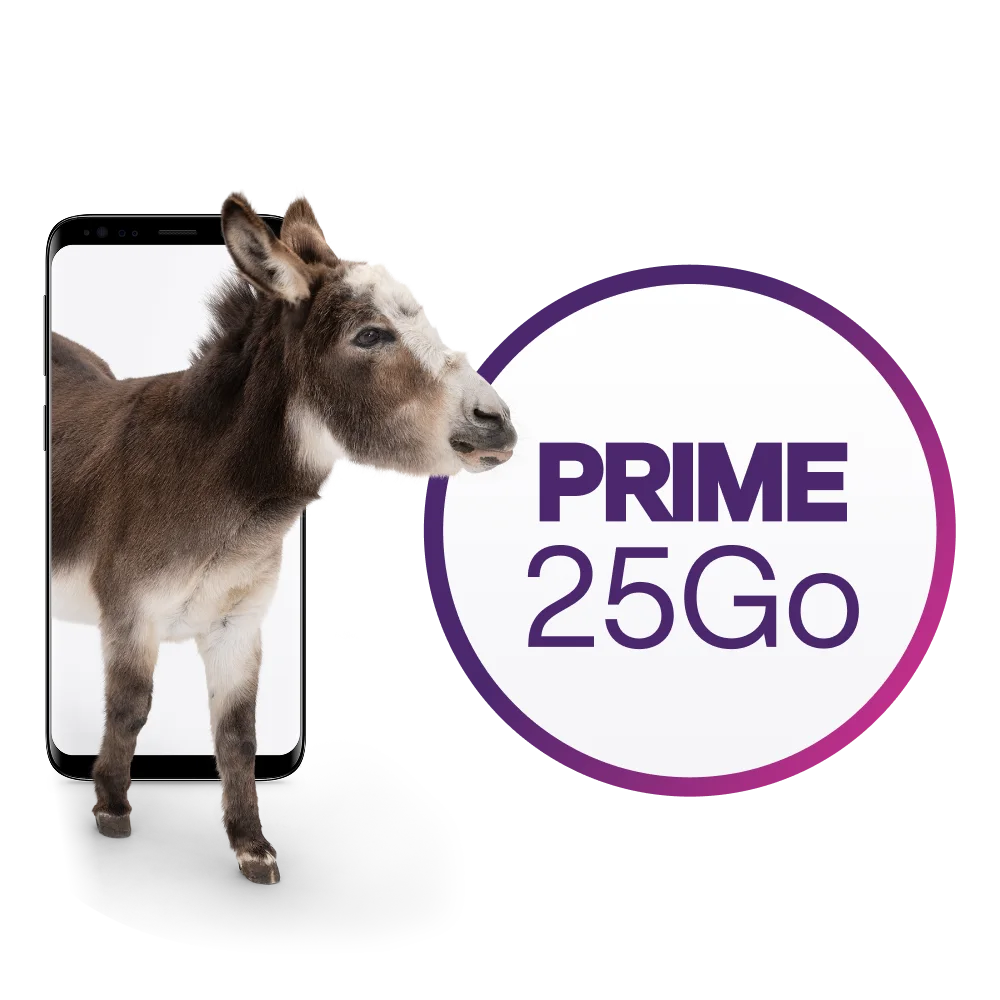 Un âne émerge d’un smartphone vers un texte qui indique : « Prime 25 Go ».