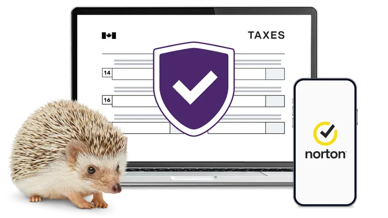 A hedgehog standing next to a laptop and smartphone. The device screens display the TELUS Online Security and Norton logos.