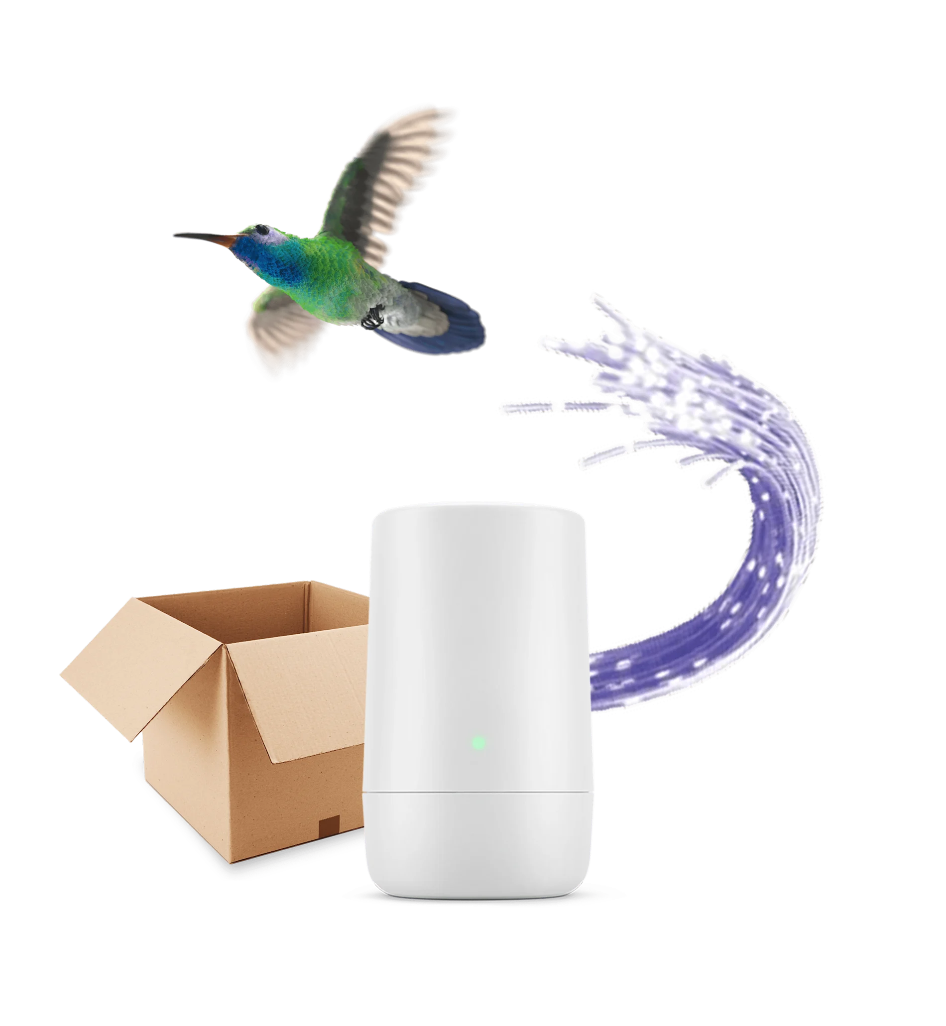 A hummingbird hovering over a TELUS modem and a package box beside it.