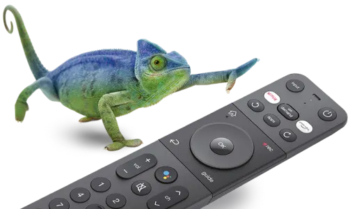 Anxious to begin watching Optik TV an adorable iguana reaches for a remote.