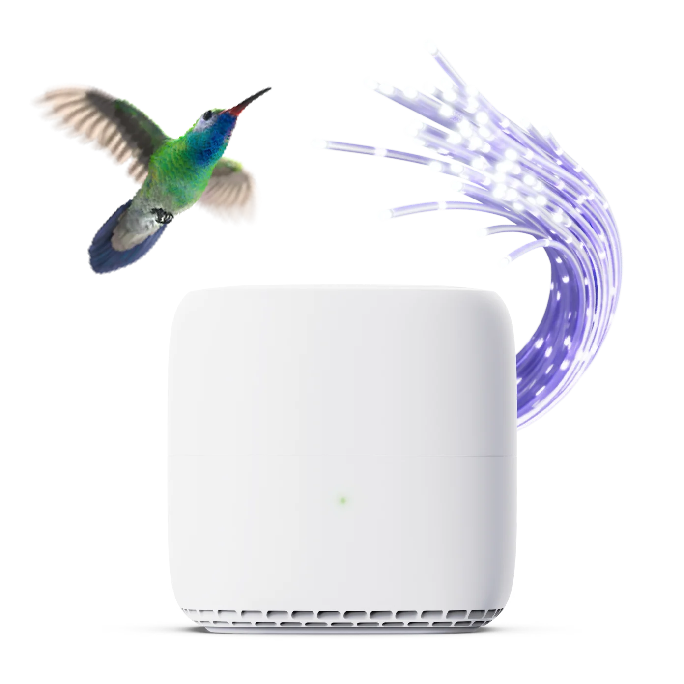 A TELUS modem next to the 5-Year Plan Price Lock badge.