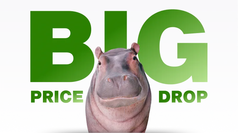 Big Price Drop. Hippopotamus.
