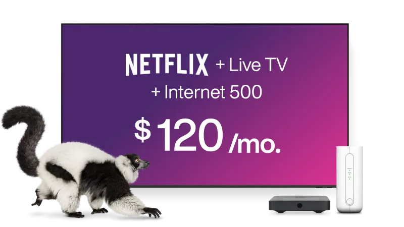 A lemur crawling towards a TV, digital box and TELUS modem. The TV displays the text “Netflix + Live TV + Internet 500 from $120 per month”.