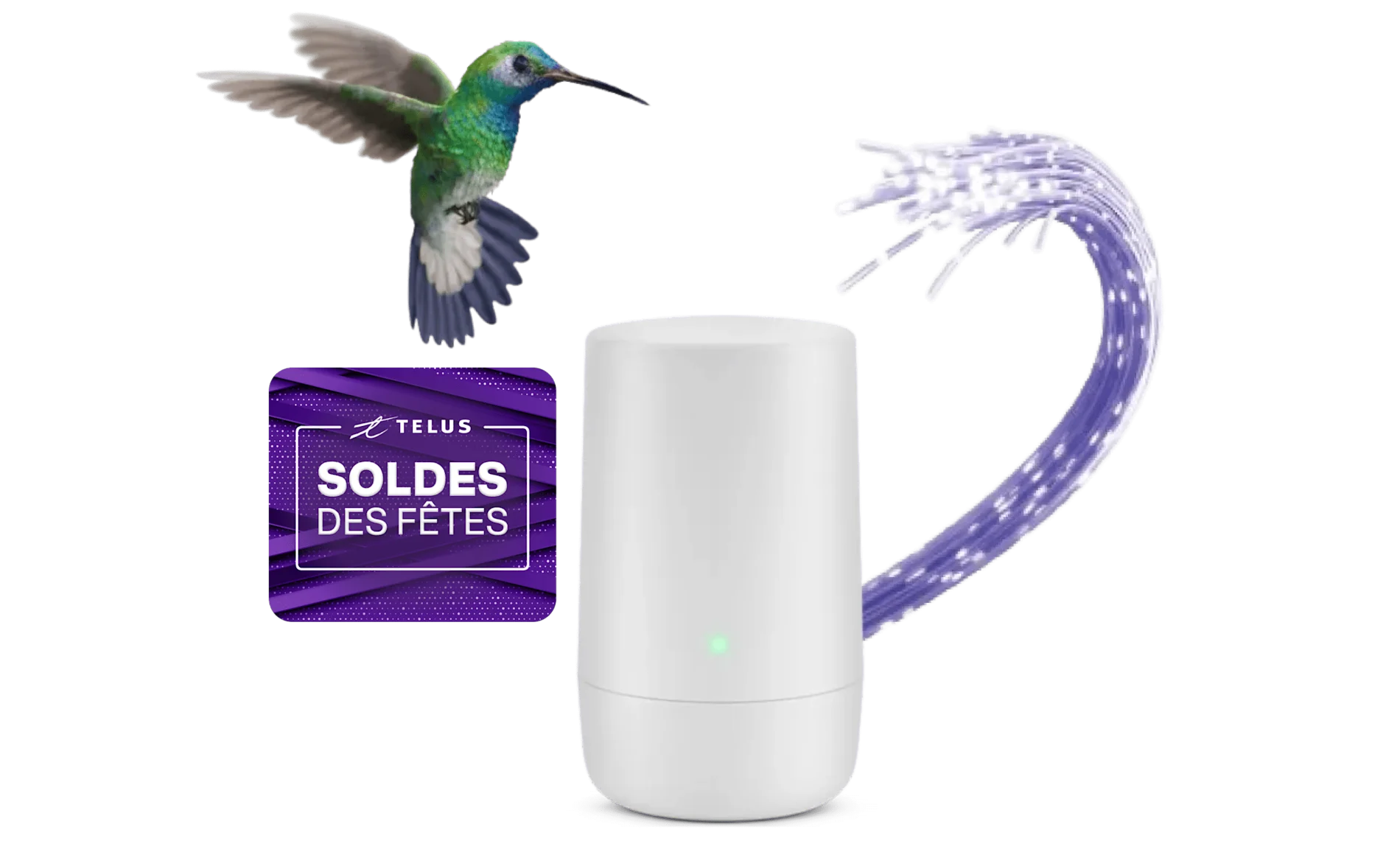 Un colibri et un étiquetage « Soldes des fêtes» survolant un modem.