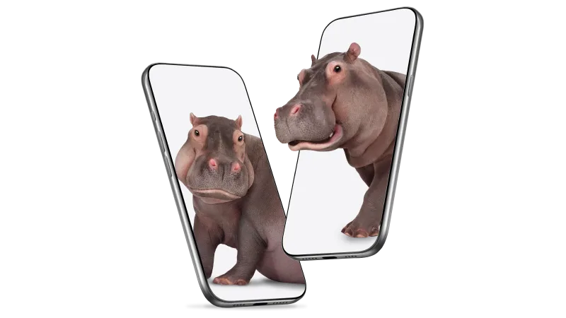 Two smartphones displayed at an angle, a hippo emerges from each.