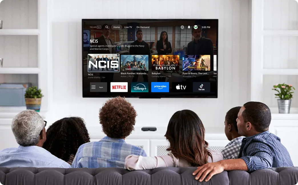 People watching TV with streaming options like Netflix and Disney+ displayed.