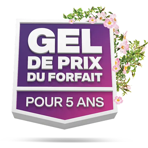 Graphique du « GEL DE PRIX DU FORFAIT POUR 5 ANS » avec des roses sauvages qui en sortent.