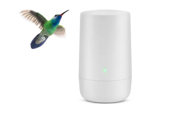 A hummingbird hovering next to a TELUS Wi-Fi modem.