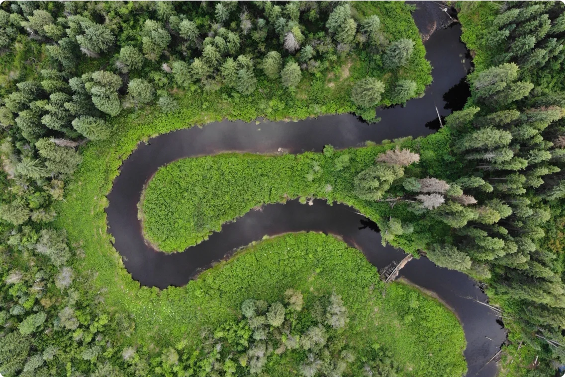 An aerial photograph of Kotcho Creek, British Columbia