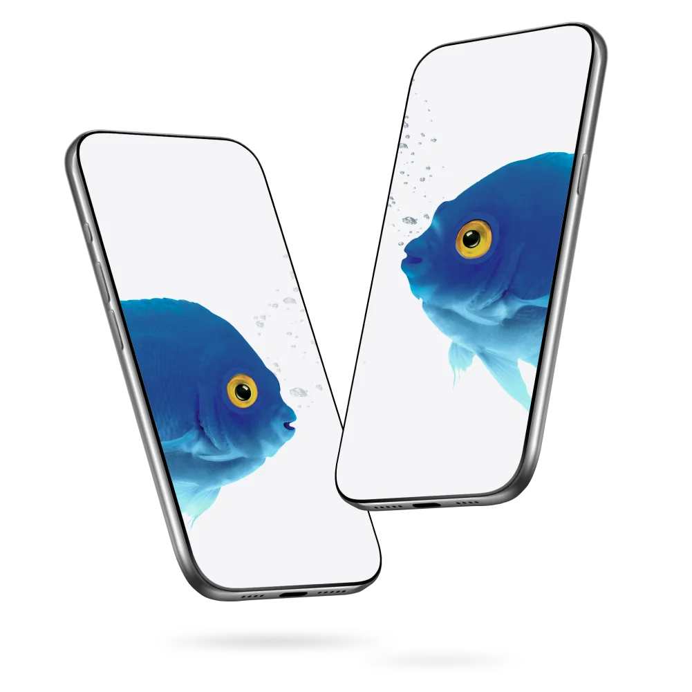 Two smartphones positioned at angles displaying blue tropical fish on their screens.