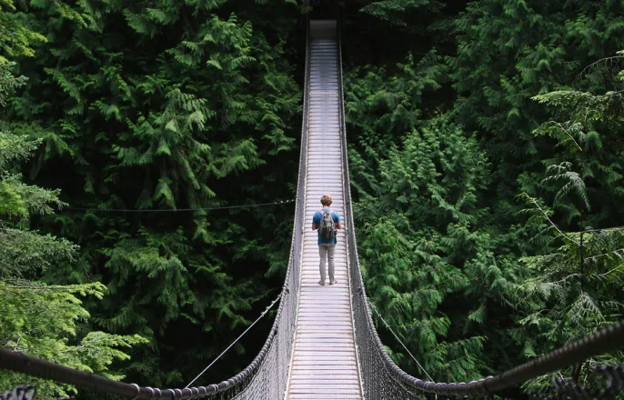 An image of a person crossing a rope bridge into the forest. 