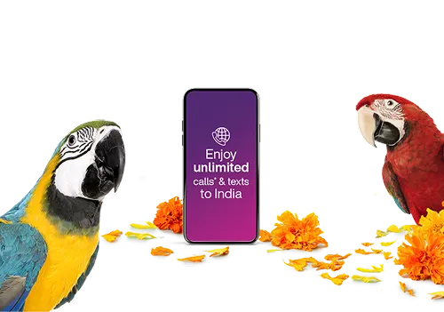 Two macaw parrots positioned around a smartphone with promotional text that reads 'Enjoy unlimited calls & texts to India' with orange and yellow flower petals scattered around.