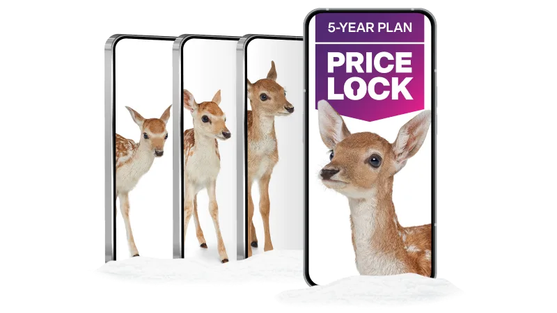 '5-Year Plan Price Lock'. Four smartphones arranged in an overlapping cascade, each displaying images of a deer in different poses.