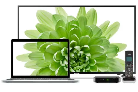 An image showing a large TV with floral background, including laptop, wireless home phone and TV box on the foreground.