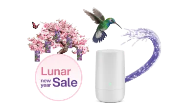 A hummingbird flying toward a TELUS WiFi modem. To the left, there is a butterfly flying toward a peach blossom tree and a roundel that reads: Lunar New Year sale.