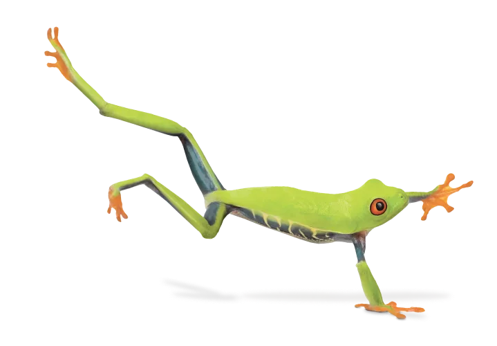 A green frog about to land on the surface.