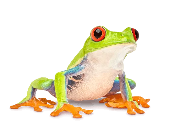 A red-eyed tree frog perched on a TELUS smartphone displaying built-in scam protection.