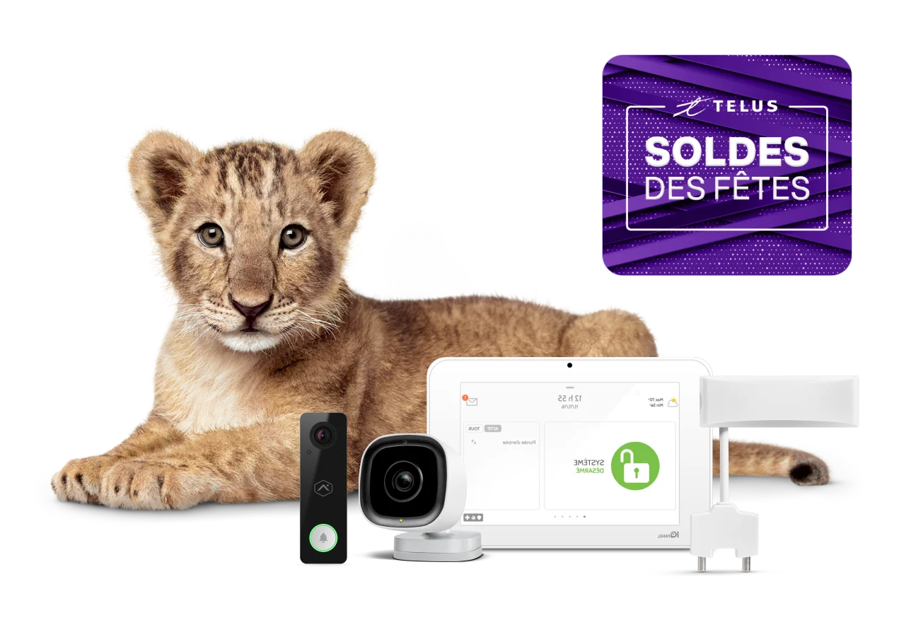 Une image montrant un lionceau avec divers dispositifs de sécurité SmartHome.