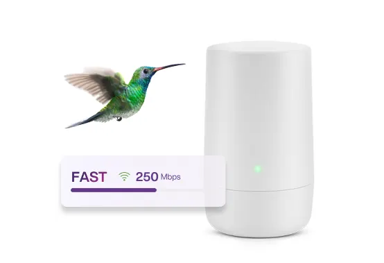 A hummingbird facing a TELUS modem. A sticker with a purple speed bar describes the Internet 250 plan as a fast option with download and upload speeds of up to 250 Mpbs. 