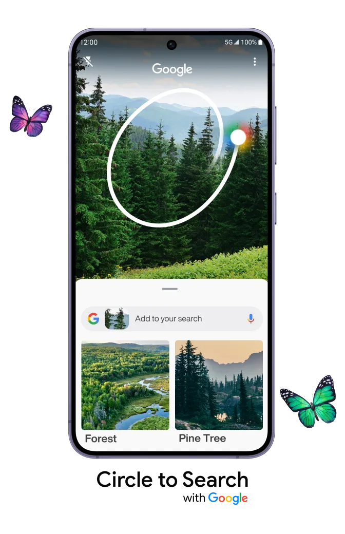 Front view of the Samsung Galaxy S24. The screen displays Google's Circle to Search feature used on an image of a forest. 