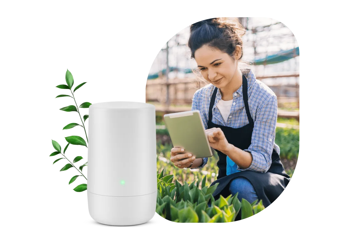 A TELUS modem next to a photograph of a person in a garden. The person uses the internet on a tablet to look up information about a plant.