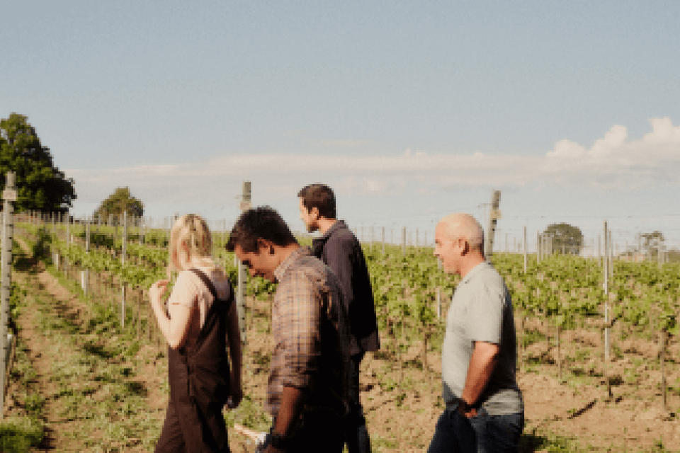 Personal Wine Advisors - Exclusive Deals & Tailored Advice