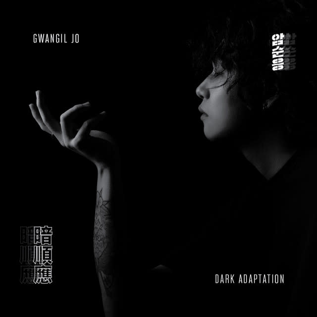Cover Image for Dark Adaptation