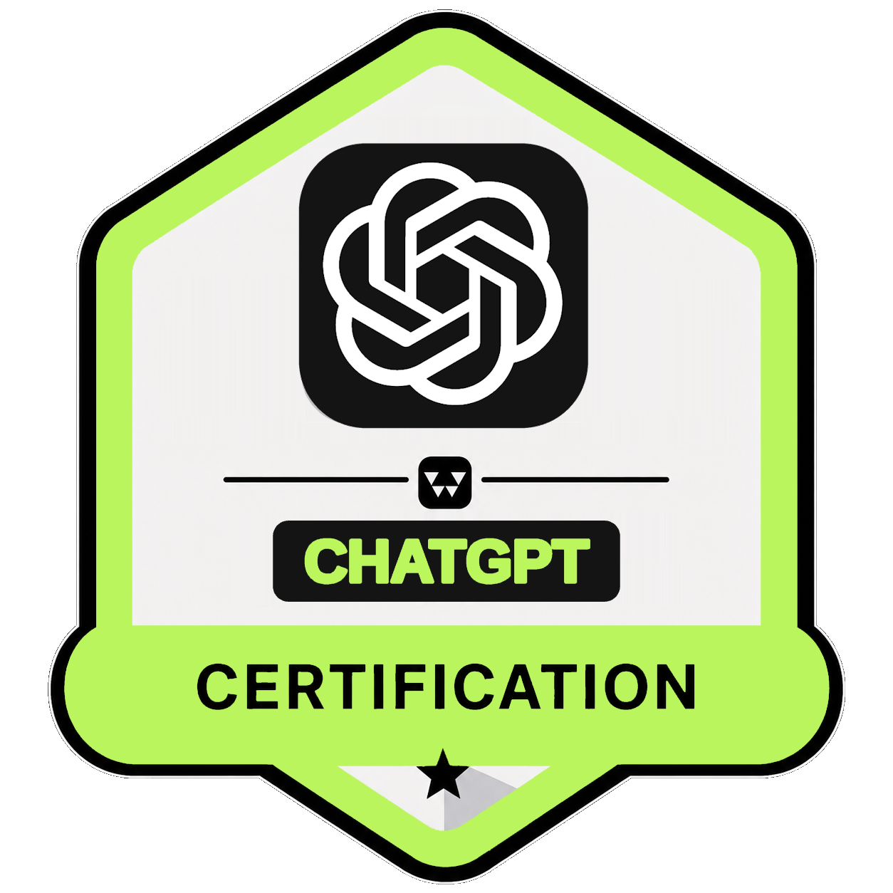 ChatGPT for Everyone