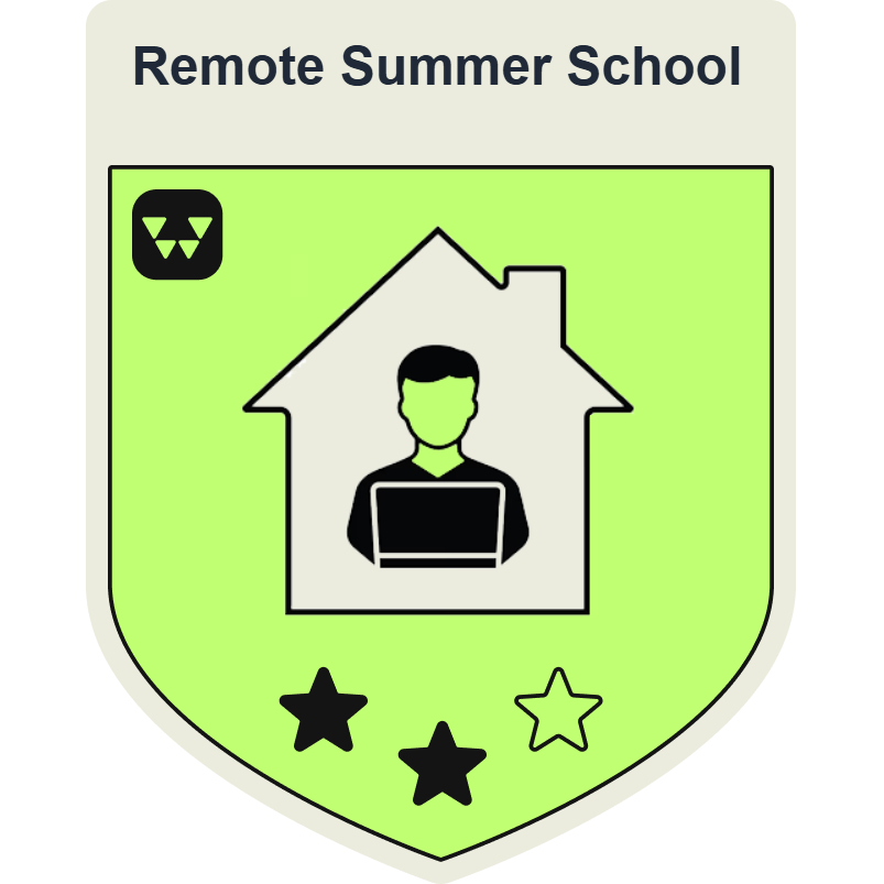 Remote Summer Schools