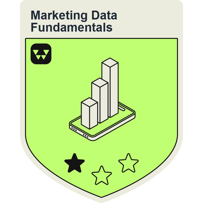 Marketing Data Fundamentals