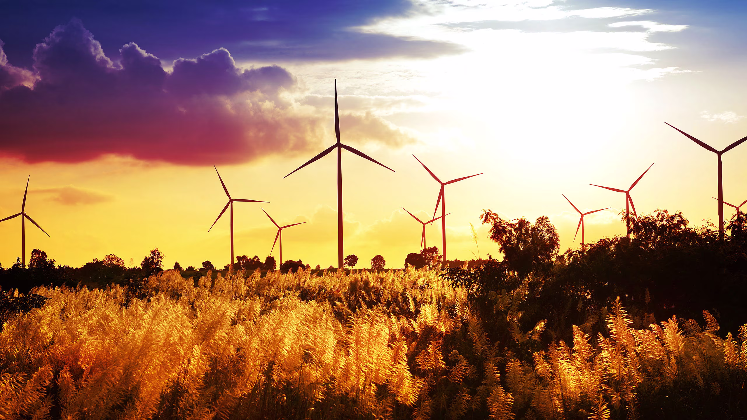 Global Financial Services Organisation