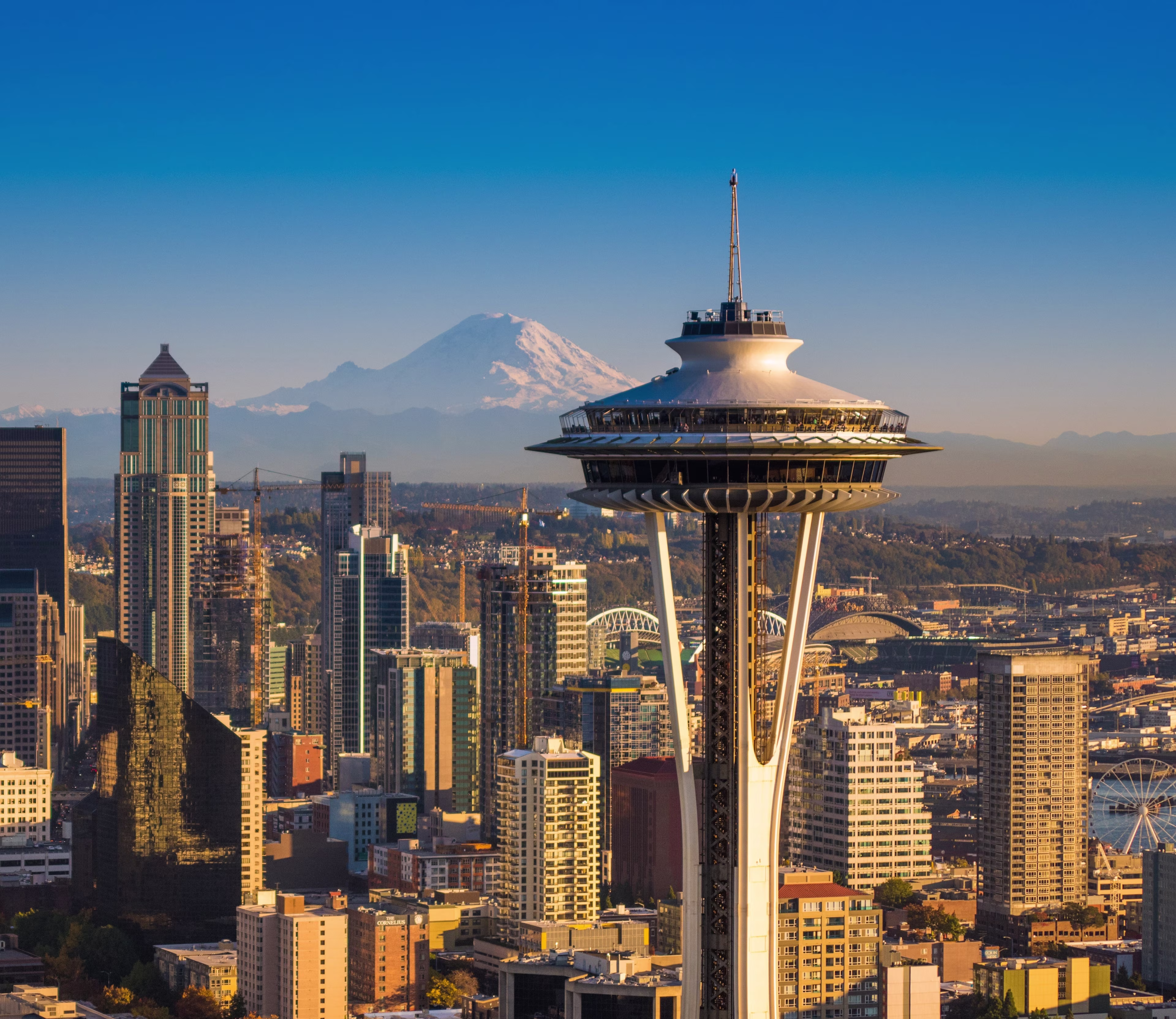 Breakdown of the Seattle Flexible Office Market