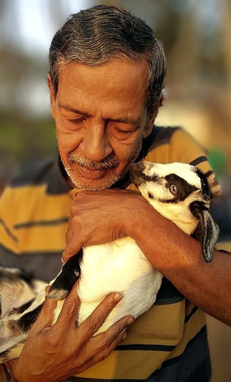 A Legacy of Love: How Pets Bridged Generations in My Family 